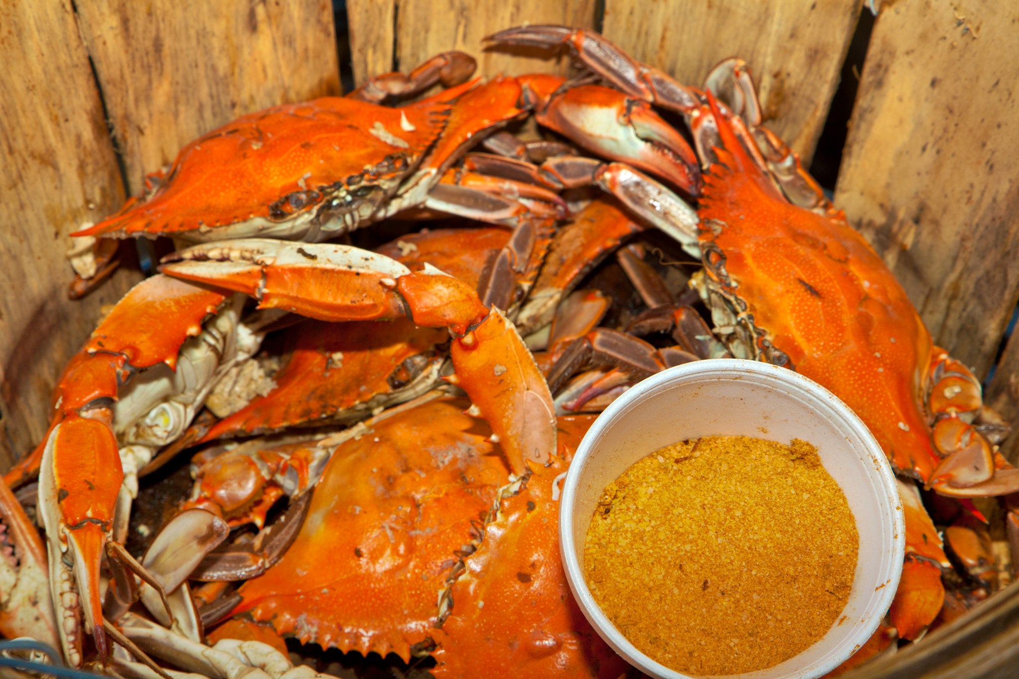 Outer Banks Seafood Festival