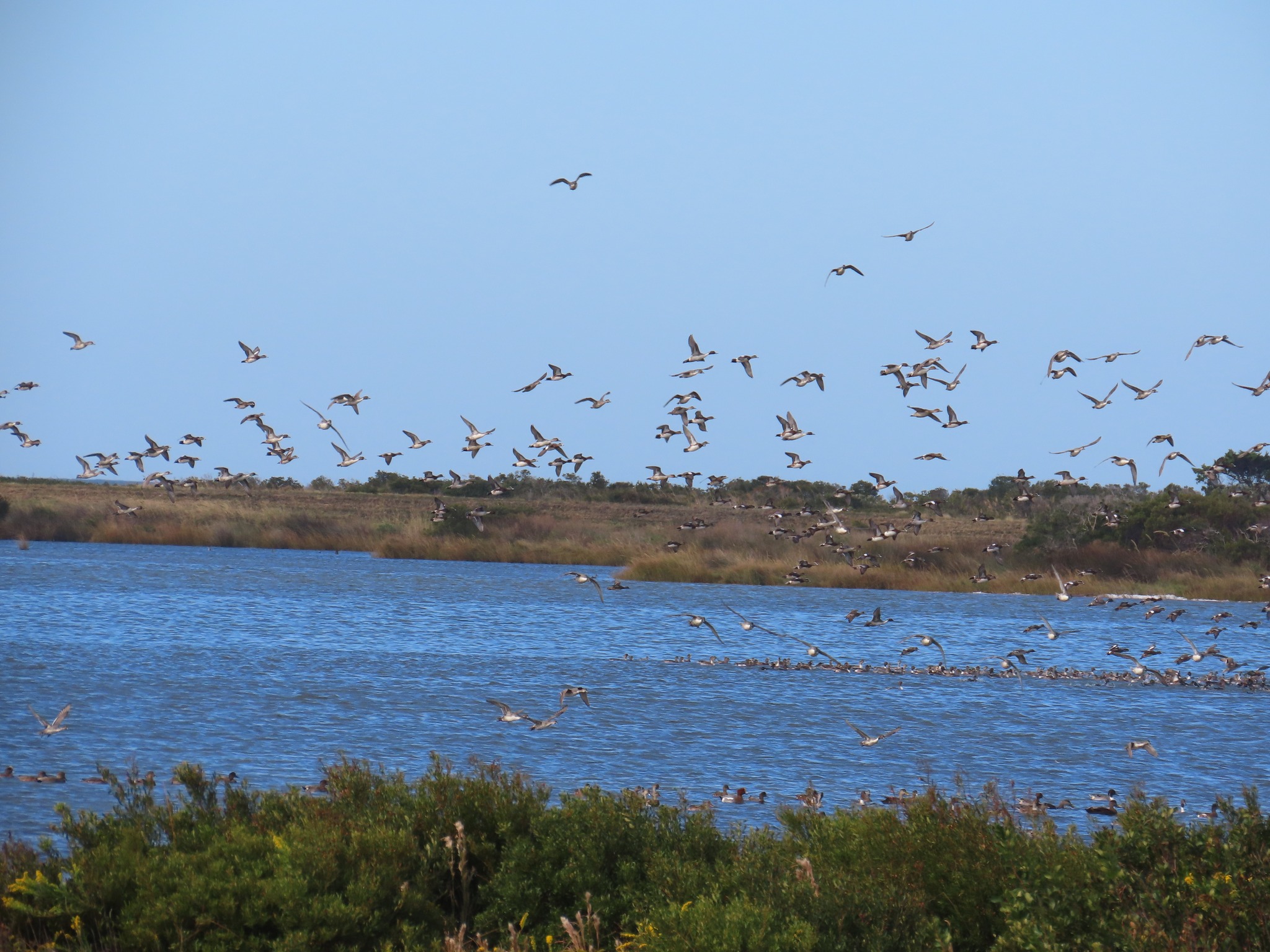 Wings Over Water