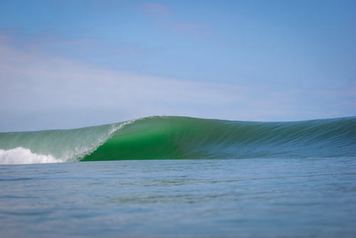 Image for Surf & Seafood: Save 15% on 3+ Night Stays