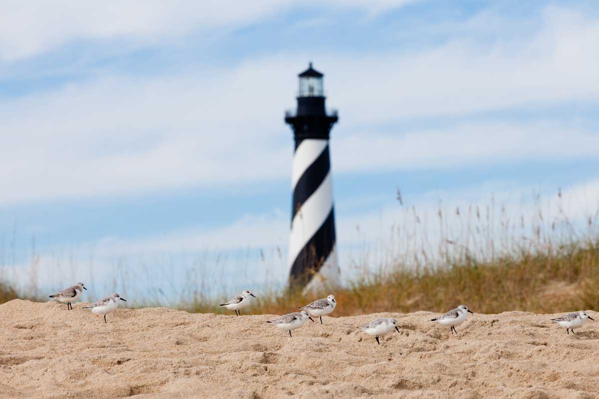 Thing To Do Outer Banks 