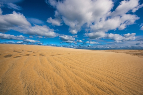 Things To Do Jockey's Ridge State Park